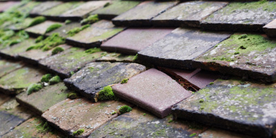 Fowey roof repair costs